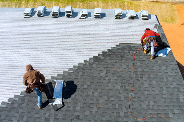 Best Metal Roofing Contractor  in Erwin, NC